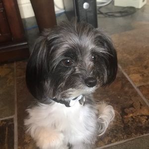 Meet your Posher, Shaunna